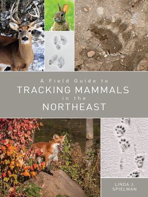 cover image of A Field Guide to Tracking Mammals in the Northeast